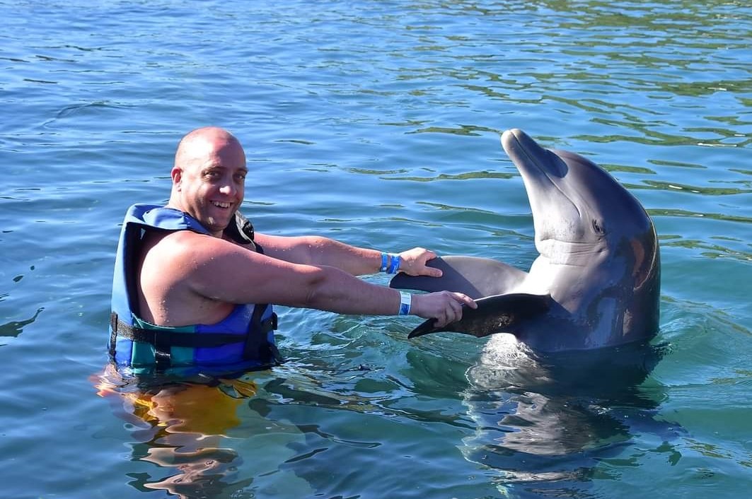 Dolphin Holding Hands